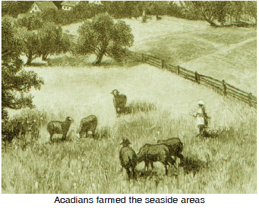 Acadian seaside pastures