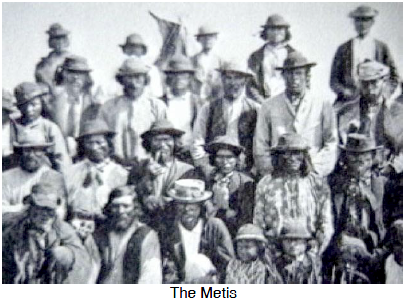 The Metis